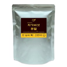 러시아 차가버섯 가루 분말 약용버섯 차가 파우더 300g, 차가버섯분말 300g, 1개