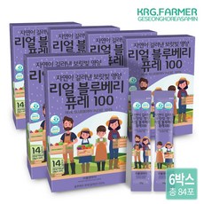 리틀앤마더 리얼 블루베리 퓨레 20g 14포, 84개