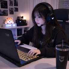 에이수스 2026 TUF 게이밍 F16 코어i7 인텔 14세대 지포스 RTX 5050, 예거 그레이, FX608JHI-TU236, 512GB, 16GB, Free DOS