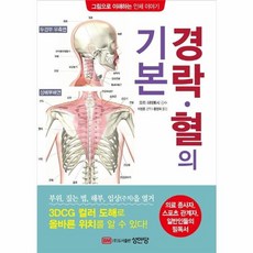 경락·혈의 기본 : 그림으로 이해하는 인체 이야기