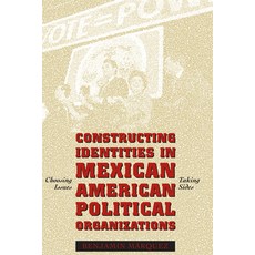 Constructing Identities in Mexican-American Political Organizations: Choosing Issues Taking Sides Paperback, University of Texas Press