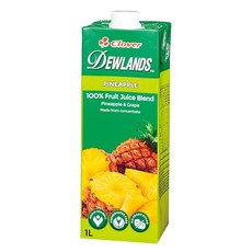 듀랜드 업무용 파인애플 주스 1L×6병, 1L