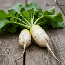 고랭지에서 수확한 세척 절임 알타리무, 1박스, 5kg(절임알타리 무청일체)