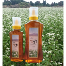 제주 벌꿀 자연꿀 메밀꽃 꿀 500g 1kg 메밀꿀 선물, 1개