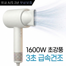 글라우벤 BLDC 저소음 1600W 항공모터 헤어 드라이기, 화이트, DS-2612