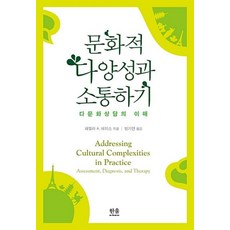 문화적 다양성과 소통하기 다문화상담의 이해, 한울아카데미