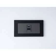 Panasonic國際牌 GLATIMA鋅合金曜黑框開關插座面板蓋板 易智36W Type-C+USB充電模組 灰色, 1個, 易智36W typeC+USB（灰