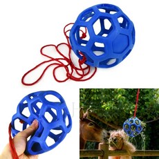 내손안의몰 말 건초 볼 사료급식기