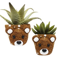 FOU 곰돌이 코코넛 화분 인조다육이 1인용 어린이집만들기세트, 단품