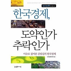 한국경제 도약인가 추락인가:이슈로 짚어본 갈림길의 한국경제, 굿인포메이션, 한국경제연구원 편저