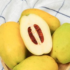 청도 모과 생모과 3kg 5kg 10kg, 1박스, [못난이B품] 5kg, 생 모과