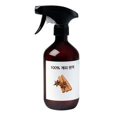 초록모아 계피스프레이+공병 시나몬 원액 워터 탈취제, 1개, 500ml