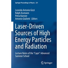 Laser-Driven Sources of High Energy Particles and Radiation: Lecture Notes of the "capri" Advanced S... Paperback, Springer