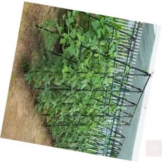 후니곳간 넝쿨식물 지지대 세트 11mm 90cm 스틸프레임 연결자재 구성 포도나무지주대, 이오 화초지지대봉