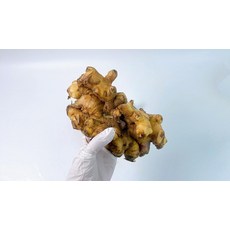 국내산 특품 알뜰 청정지역 흙생강 생강 2kg, 흙생각(알뜰)2kg x 1박스