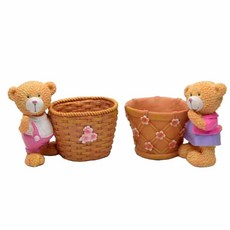 곰돌이 선인장 사무실 화분 디자인