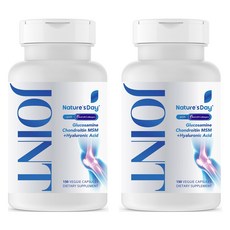 Nature's Day 조인트 글루코사민 콘드로이친 MSM +히알루로닉 에시드 베지 캡슐, 2개, 150정