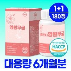 바이오티 영원 무궁 100% 정품 핏 haccp 식약청인증, 2개, 90정