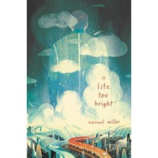 A Lite Too Bright Paperback, Katherine Tegen Books