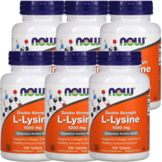 나우푸드 더블 스트렝스 L-라이신 1 000mg, 100정, 6개