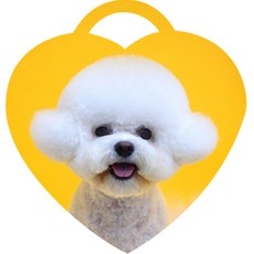 펫블링 사진으로 만드는포토 강아지인식표, 하트, 1개