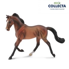 컬렉타 적갈색 서러브레드 암말 88477, 1개