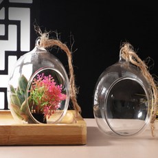 테라리움 투명볼 5쌍 나만의정원, 10cm