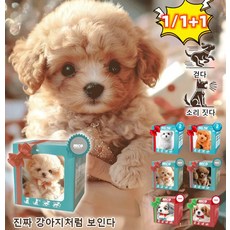 1/1+1 뽀글이 장난감 로봇 강아지 모방하다 움직이는 강아지 장난감 인형 걸음마 장난감 ai 강아지, 2-(갈색)*2, 컬러 박스, 1개