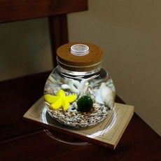 LED 원형어항 (대) 물 속 친구들과 마리모 (마리모 사이즈 S), 1개