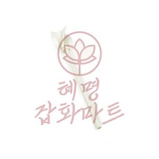 혜명잡화마트 페인트 믹스 패들, 1