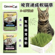 德國竣寶 新鮮貓草 8天快速收成 香味軟貓草 一次澆水長效保濕貓草, 100g, 1個, 一次澆水長效保濕貓草(盒裝)