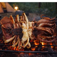 반건조 오징어 피데기 5미 특대 두툼하고 쫀득, 1개, 550g