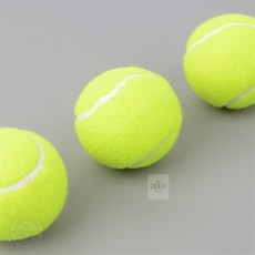 일꾼몰 테니스공 3개입 간편한운동