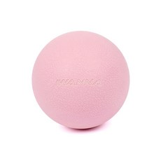 아이워너 TPE 마사지볼 발바닥 어깨 지압 안마 요가 필라테스 라크로스 스트로우 베리, 1개
