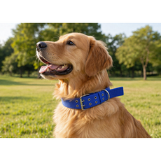 진진체인 강아지 목줄 대형견 목줄 초강력 두꺼운 나일론 고강도 개목줄 중대형견용, 1개, 블루