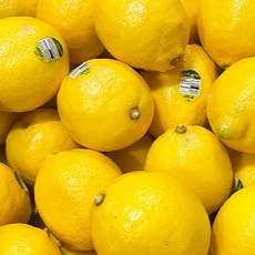 푸드마실 프리미엄 미국산 팬시 레몬, 50개, 중소과(개당 100g 내외)