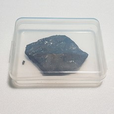 고사리 화석(실물) (KSIC-15010)