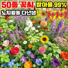 [빠른 발아] 사계절 개화 꽃밭 혼합 씨앗 노지 월동 다년생 꽃 씨앗 4계절 봄꽃 씨앗 개화 꽃씨 모음 TENFOC, 3개