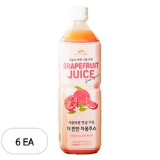 네이쳐브릿지 지중해풍 햇살 가득 자몽주스, 6개, 1L