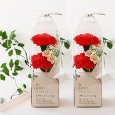 그랑데 대형 비누꽃 카네이션 꽃박스 선물세트, 2개, 투톤레드