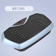 가정용 스마트 진동운동기 체지방감소 간단한 진동 트레이닝, 블루
