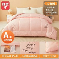 이불겨울 따뜻한 양털 포근한 간절기 담요 호텔, K. 00x30cm 두꺼운 겨울 이불 무게 약 0파운드
