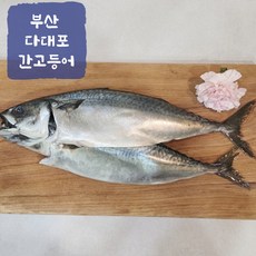 부산 가정용 자반고등어 간고등어 고갈비용(1마리) 특대(8마리) 대(10마리) 소(12마리) 왕특대(2마리), 1개