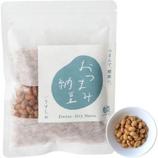 일본 소노모노 동결 건조 바삭한 낫토 간식 안주 우스시오맛 50g 511538, 우스시오, 1개