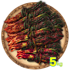 해드림 쪽파김치 5kg, 1개