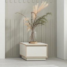 TV 거실장 수납장 티비다이 서랍 45cm P0000BHA, 블루, 블루