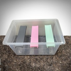 레파즈 게코브릿지 중사이즈 백업, 1개, 핑크