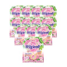 하이젠 옷장용 차량용 퍼퓸 방향제 선라이즈 키스, 8g, 12개, Sunrise Kiss