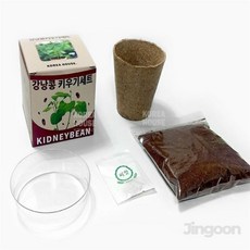 강낭콩 키우기세트 강낭콩씨앗 씨앗키트