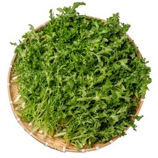 전라도청년 프레시 국내산 치커리, 1박스, 1kg